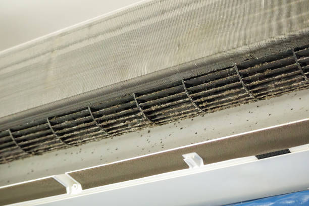 Best Professional Duct Cleaning Services  in Cambridge, MA